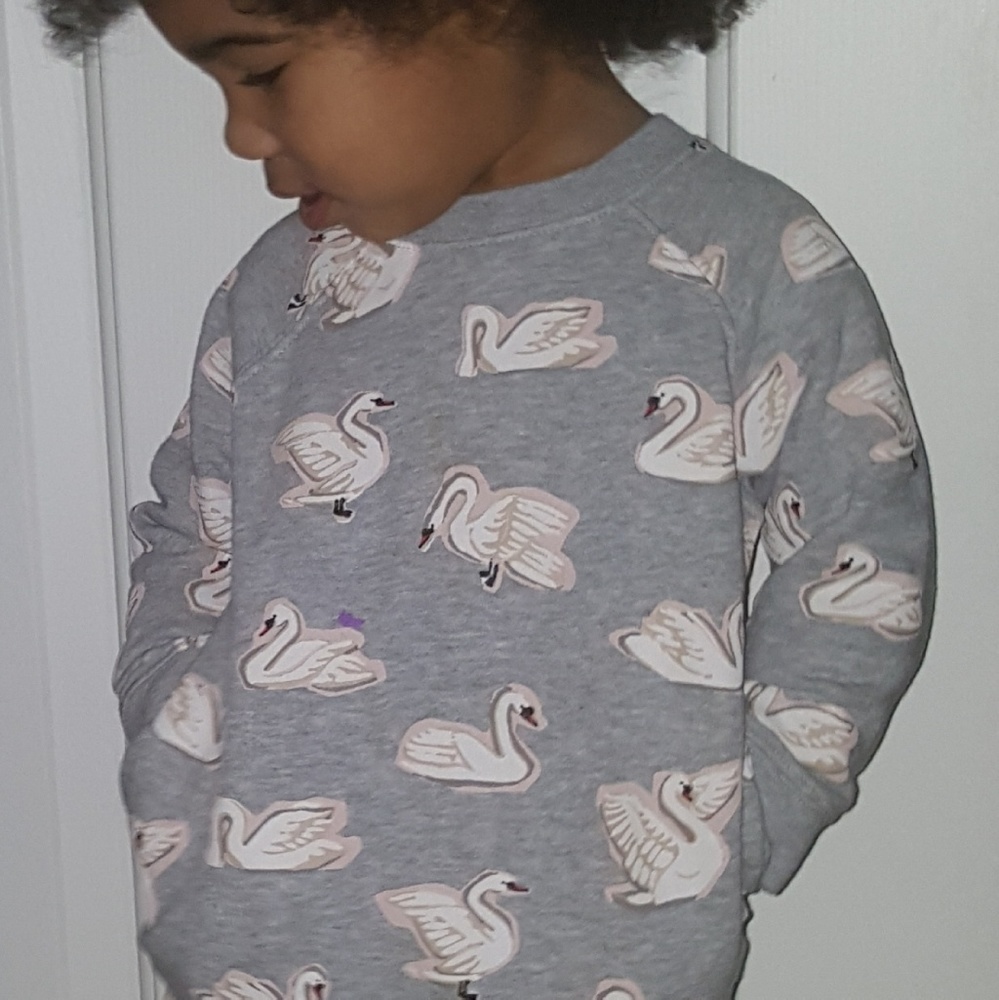 Swan Lake sweater for girls